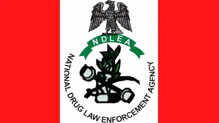 NDLEA Nabs Members Of Illicit Drugs Syndicate At Bridgehead Onitsha