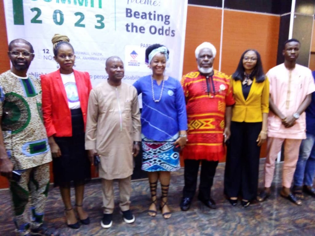 Mandela Washington Fellowship Alumni Association 2023  Inclusion Summit Ends In Awka