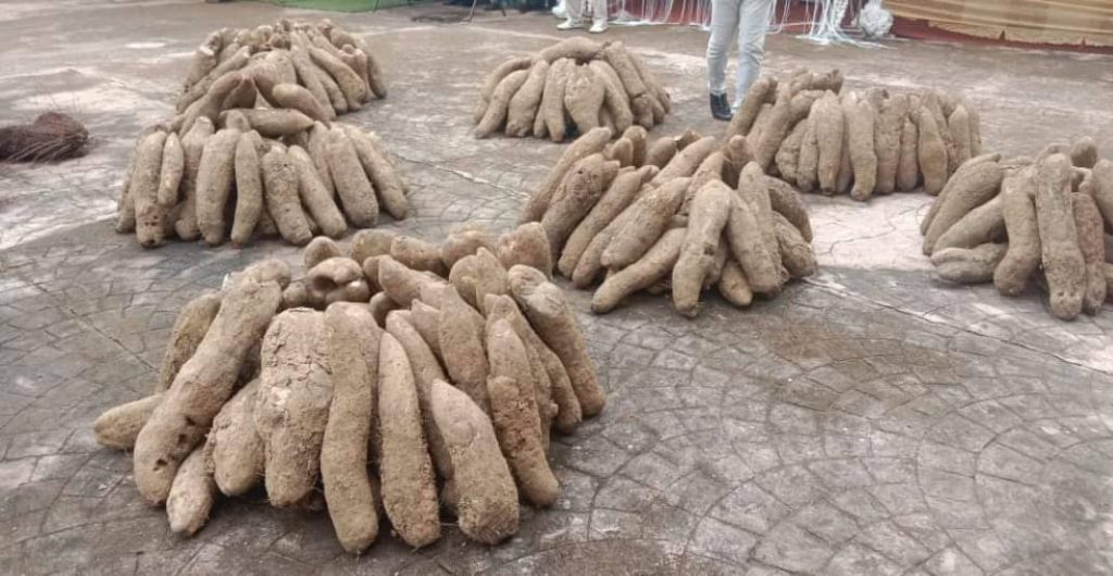 NEW YAM FESTIVAL AS CATALYST FOR PEACE BUILDING IN IGBO LAND