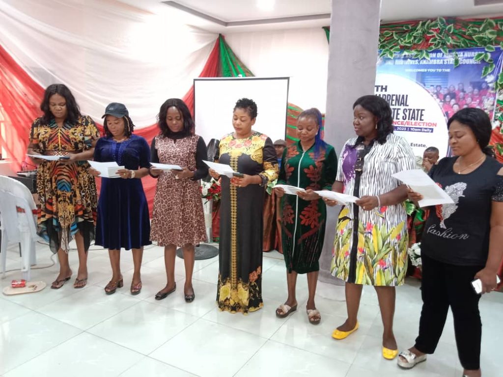 National Association Of Nigeria Nurses And Midwives Anambra Chapter Elects New Exco