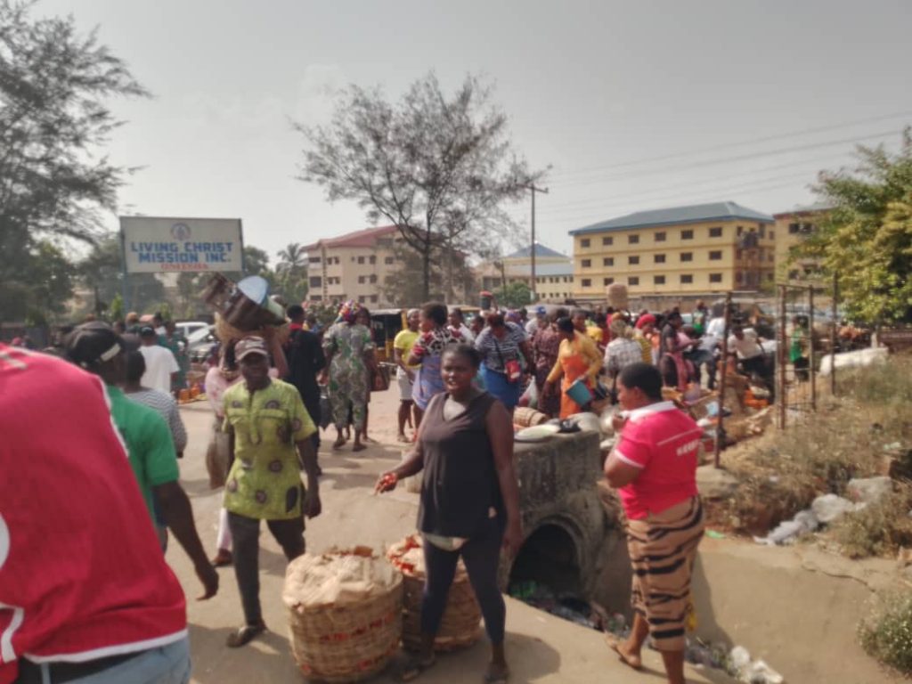 Traders At Grain Seed Market Along Onitsha-Enugu Expressway Relocated To New Site