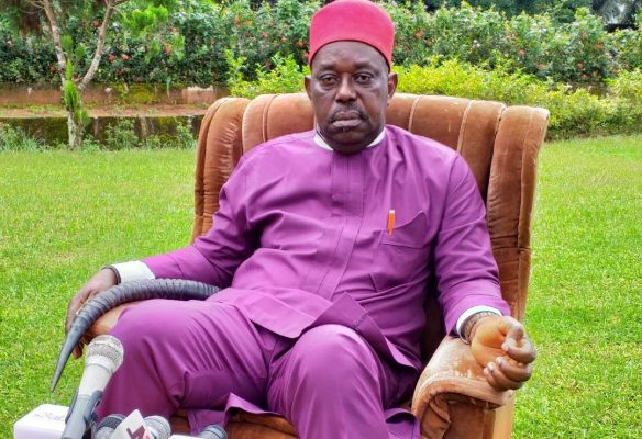 Ohaneze Ndigbo VP Urges Anambra Residents To Protect Environment From Erosion