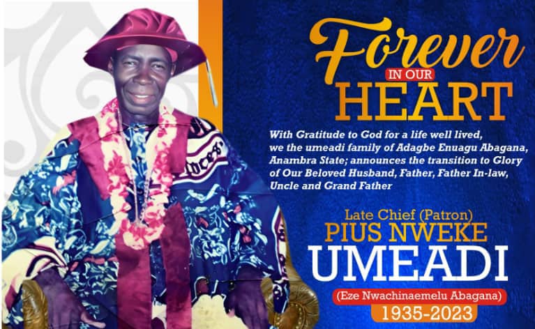 BIOGRAPHY OF THE LATE CHIEF PIUS NWEKE UMEADI