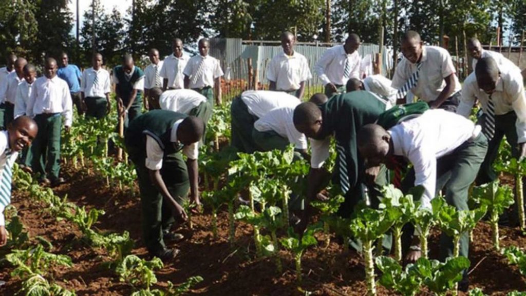 SCHOOL -TO-FARM INITIATIVE: A WELCOME DEVELOPMENT