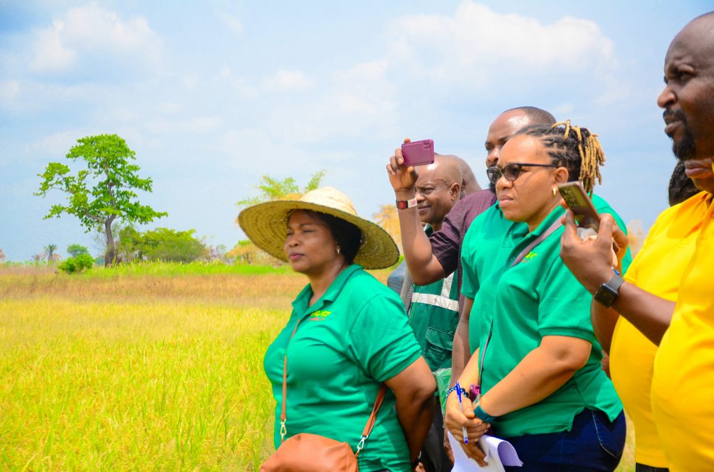 Anambra Agric Commissioner Commends FG IFAD VCDP Interventions