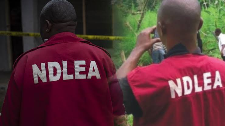 NDLEA Cautions Youths Against Drug Abuse, Trafficking