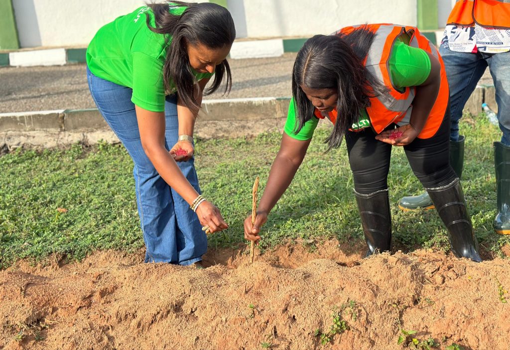 Healthy Living Exhibition Garden Advances To Seed Sowing Stage