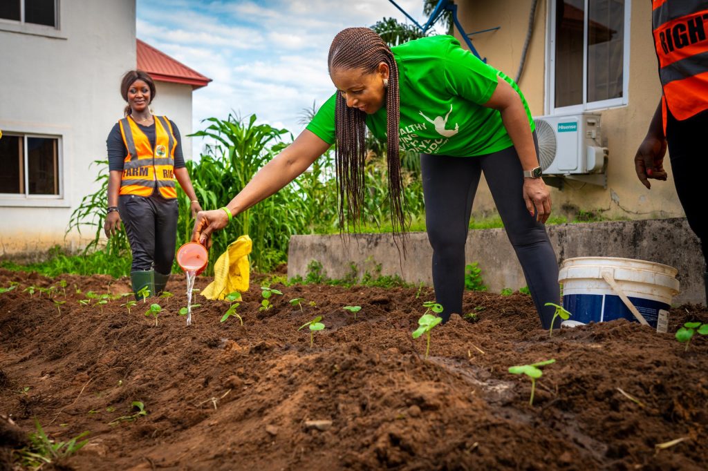 Healthy Living Exhibition Garden Advances Into Transplanting Stage