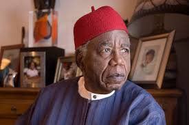 Ohaneze Ndigbo VP Commends FG For Honouring Achebe