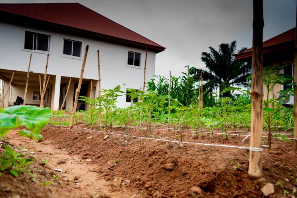 Mrs Soludo Extends Deadline For   Free Seeds Programme