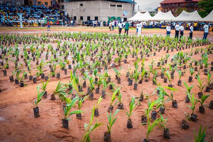 Soludo Receives More Commendations On Distribution Of Economic Tree Seedlings  To Ndi Anambra