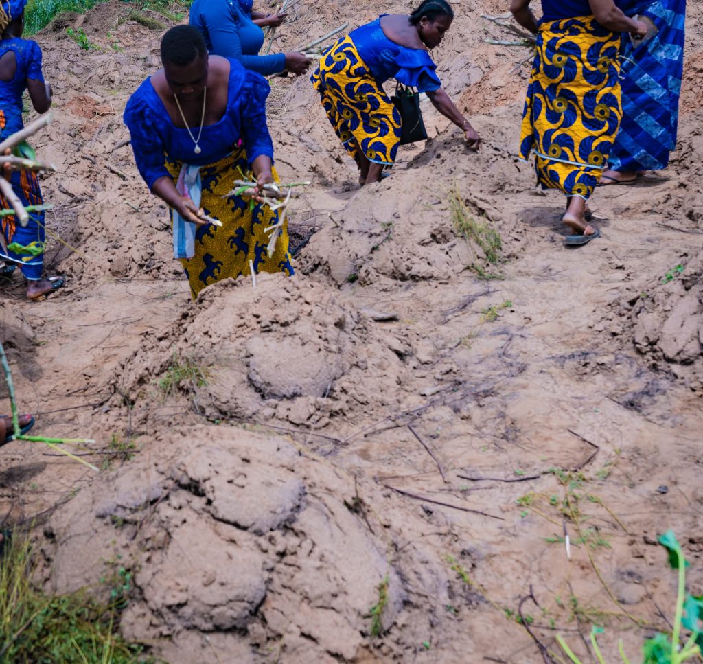 More Stakeholders Laud Soludo On Agricultural Revolution