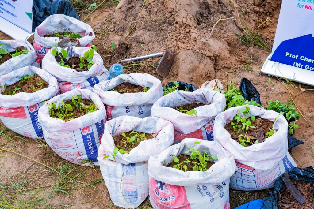 Farm To Feed Initiative  :  APGA Chieftain Urges Southeast Governors To Emulate Soludo