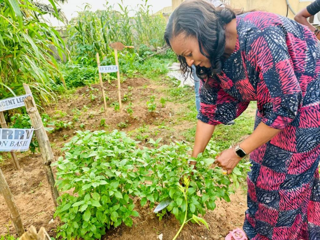 Free Organic Seeds Distribution :  Mrs Soludo Surpasses 1000 Beneficiaries’ Target