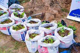 SOLUDO INTRODUCES GAME-CHANGING AGRICULTURAL INITIATIVE