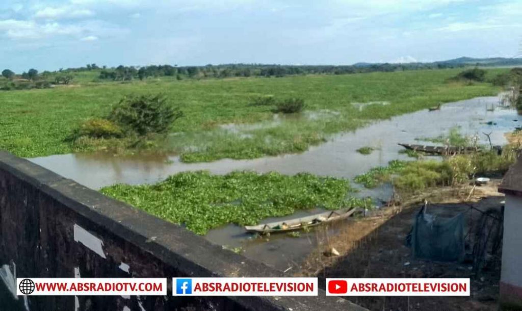 People Of Umueze-Anam Sends SOS To Anambra State Govt  Over  Dangers Of  Water-Hyacinth On Omambala River