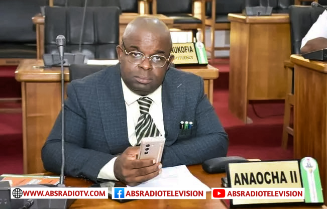 Anambra State 2025 Budget: State Lawmaker Okechukwu Commends Allocation To Capital Projects