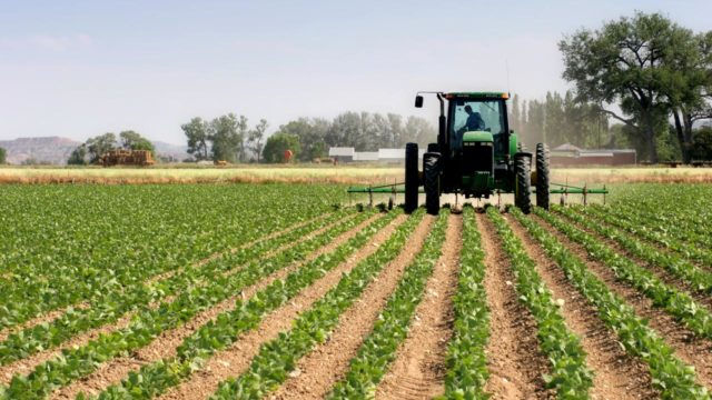 Commentary: Harnessing Agricultural Potential Of Nigeria To Stimulate Economic Growth