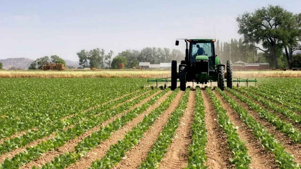 Mechanized Farming: FG Approves N30Bn For Agric Universities