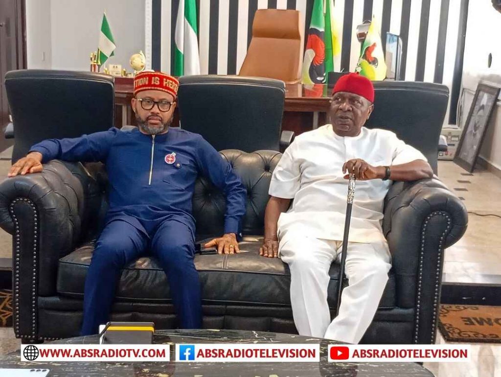 Anambra Deputy Governor Ibezim Tasks Ohaneze Ndigbo On Free, Fair Election