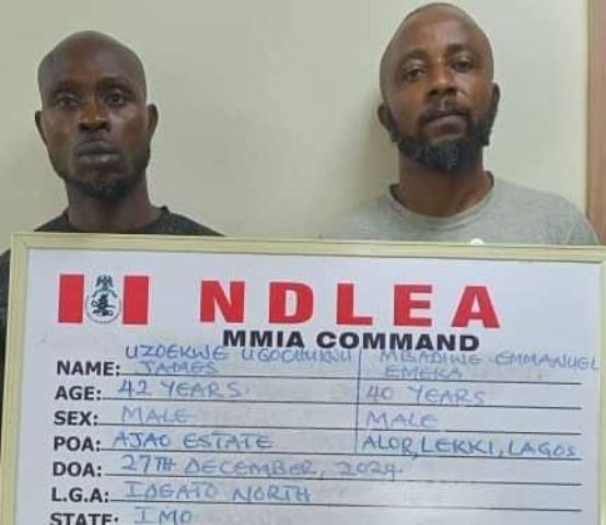 NDLEA Arrest US-trained Hollywood And Nollywood Filmmaker, Emeka Mbadiwe In Lagos