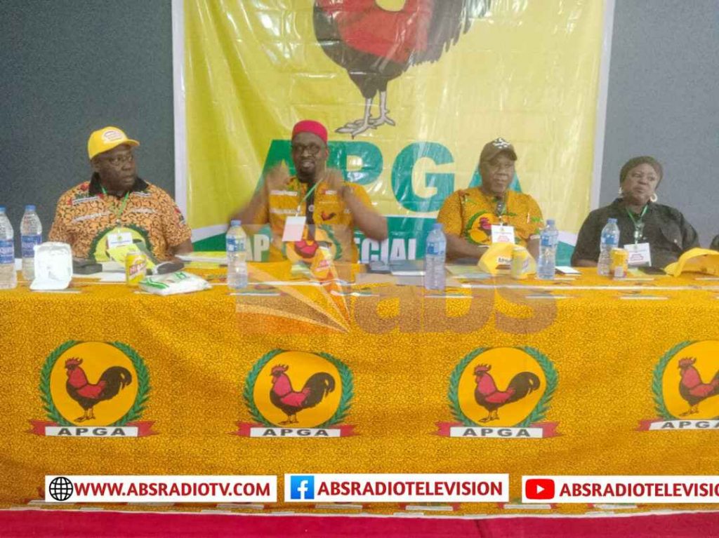 Anambra Governorship Election: APGA National Chairman Ezeokenwa Calls For Stronger Synergy In Party Leadership